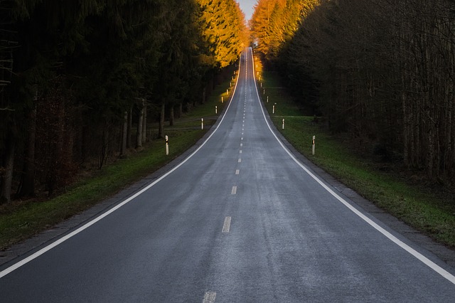 nekončící cesta lesem při západu slunce